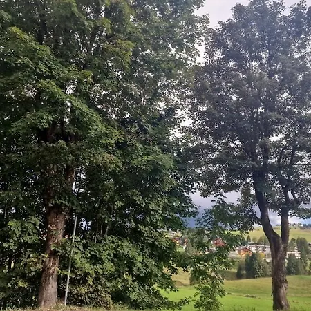 Di Montagna A L'albero Della * Gallio